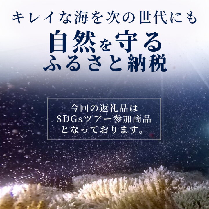 【ふるさと納税】サンゴ再生応援ツアー～甦れ！八重山のサンゴ畑～（24名まで）JL-2沖縄八重山八重山諸島石垣島サンゴサンゴ礁応援ツアーチケット