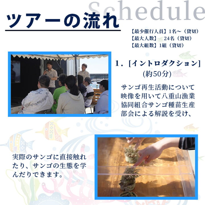 【ふるさと納税】サンゴ再生応援ツアー～甦れ！八重山のサンゴ畑～（24名まで）JL-2沖縄八重山八重山諸島石垣島サンゴサンゴ礁応援ツアーチケット