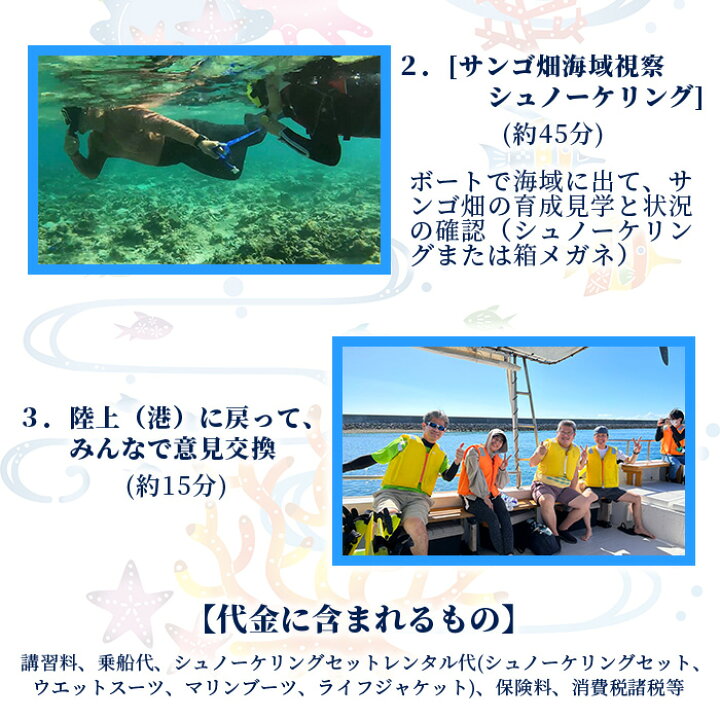 【ふるさと納税】サンゴ再生応援ツアー～甦れ！八重山のサンゴ畑～（24名まで）JL-2沖縄八重山八重山諸島石垣島サンゴサンゴ礁応援ツアーチケット