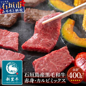 【ふるさと納税】石垣島産 黒毛和牛 新里牛 [特選] 赤身・カルビ焼肉ミックス (400g×1袋) 焼肉 カルビ 牛肉 石垣 石垣島 沖縄 八重山 沖縄県 バーベキュー 送料無料 SZ-16