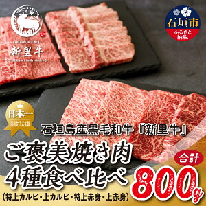 yӂ邳Ɣ[ŁzΊ_Y јa V JĂ4Hה JrEJrEԐgEԐg v800g SZ-72