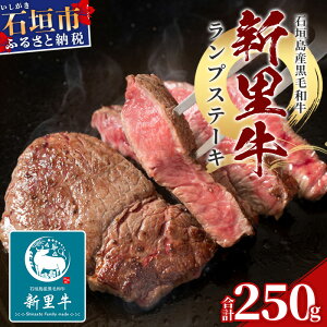 yӂ邳Ɣ[ŁzΊ_Y јa V vXe[L (250g×1) 250g SZ-9