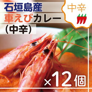 yӂ邳Ɣ[ŁzΊ_YԂуJ[ihjyⓀ 12HzΊ_̃J[X邲nJ[ SK-3