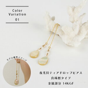 yӂ邳Ɣ[ŁzLeBAhbvsAXy Y L sAX ANZT[ ꌧ   dR dR Ί_ Ί_s Ί_ Y zRY-4-1