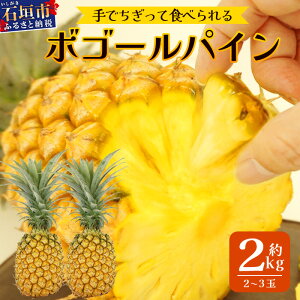 yӂ邳Ɣ[Łzs2026N4{菇t[\t] Ί_Y {S[pC 2`3Zbg 2kg | Yn Ί_Y Ί_ n pC pCibv XibNpC {S[ TD-2
