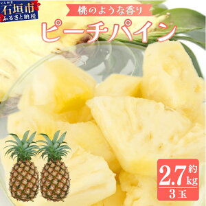 �y�ӂ邳�Ɣ[�Łz����s�\�� �Ί_���Y �s�[�`�p�C�� 2�� ��1.8kg / 3�� ��2.7kg ��2026�N5�����{������ | �Y�n���� �Ί_���Y �Ί_ ���n �p�C�� �p�C�i�b�v�� �������� TD-4