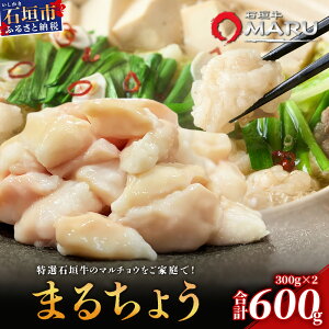 【ふるさと納税】 希少な特選石垣牛のホルモンをご家庭で!!マルチョウ300g×2パック | 沖縄 石垣 和牛 石垣牛 希少 特選 肉 ホルモン マルチョウ 冷凍 小分け | IM-12