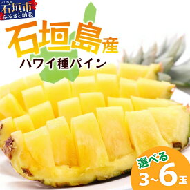 【ふるさと納税】【先行予約】《2026年6月上旬頃より順次発送》石垣島産 ハワイ種 パイン 3〜6玉 約3〜6kg｜ 産地直送 沖縄 石垣 パイン パイナップル フルーツ ハワイ種 ｜石垣さんちの石垣トロピカルファーム TP-4 TP-5 TP-6
