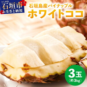 【ふるさと納税】≪6月上旬順次発送≫ 石垣島産パイナップル ホワイトココ 3玉(約3kg) | 沖縄 石垣 パイン パイナップル フルーツ 果物 南国フルーツ 国産 | TP-13