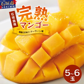【ふるさと納税】＜先行予約＞2026年発送分【通常or訳あり】石垣島産 マンゴー (アーウィン種) 約1〜5kg (2〜12玉) ※箱含め約5kg 《樹齢30年の木で育ったマンゴー》｜産地直送 沖縄 石垣島 マンゴー アーウィン マンゴー フルーツ TP-01 TP-2 TP-03