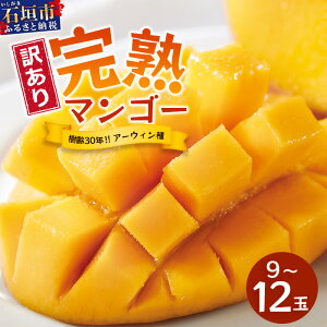 yӂ邳Ɣ[Łzs\2026Ny󂠂zΊ_Y }S[ (A[EB) 9`12(܂ߖ5kg) s30N̖؂ň}S[tbYn  Ί_ }S[ A[EB 
