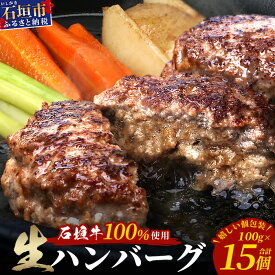 【ふるさと納税】石垣牛100％ ハンバーグ　(100g×15個)｜ふるさと納税 ハンバーグ 和牛 黒毛和牛 石垣牛 国産 牛肉 ブランド牛 冷凍 個包装 ギフト ふるさと 沖縄県 沖縄 石垣 石垣島 石垣市 人気 送料無料 ID-2