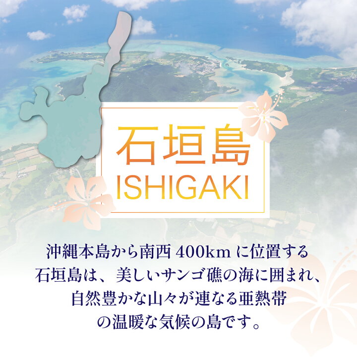 楽天市場】【ふるさと納税】【石垣市】 石垣パッケージ旅行補助券 