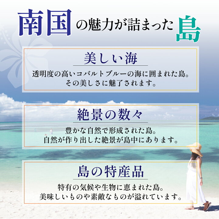 楽天市場】【ふるさと納税】【石垣市】 石垣パッケージ旅行補助券 