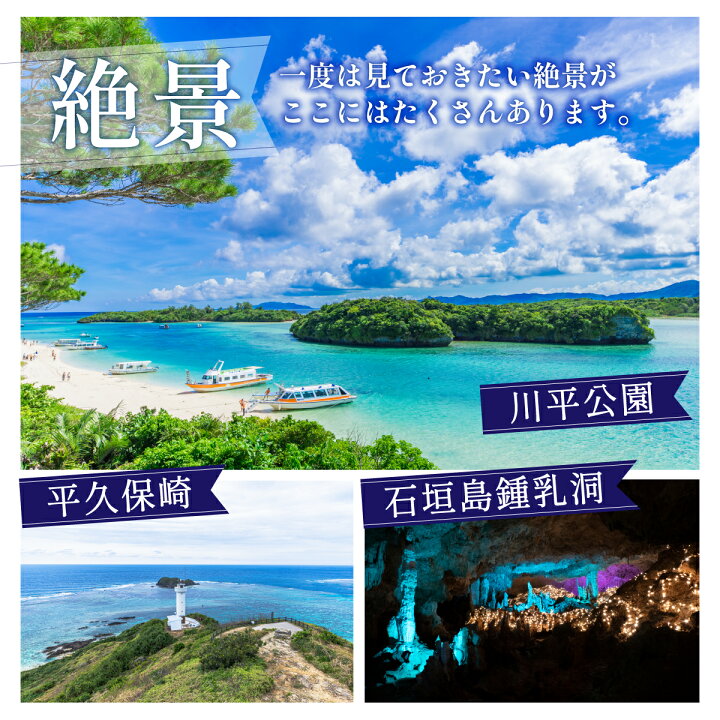 楽天市場】【ふるさと納税】【石垣市】 石垣パッケージ旅行補助券 