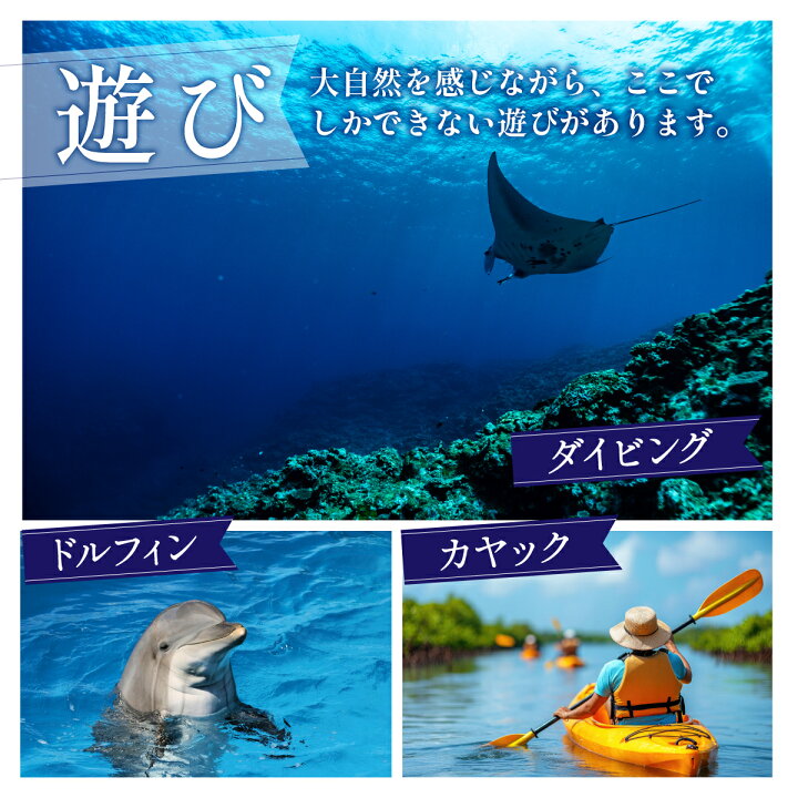 楽天市場】【ふるさと納税】【石垣市】 石垣パッケージ旅行補助券 