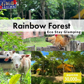 【ふるさと納税】Rainbow　Forest（レインボーフォレスト）施設利用券30,000円分 RF-5｜沖縄県 石垣市 グランピング 宿泊券 旅行