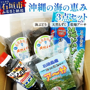 �y�ӂ邳�Ɣ[�Łz����̊C�̌b�� 3�_�Z�b�g�i�C�Ԃǂ��A�V�R������2�p�b�N�A�A�[�T�j �������̃^��1�{�t CK-13