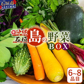 【ふるさと納税】石垣島産 野菜 BOX 1箱 ≪定番・旬の野菜6~8種類≫ 野菜パワーをあなたに！！｜野菜セット おまかせセット 旬 季節のお野菜 旬の野菜セット 詰め合わせ 島野菜 沖縄県 石垣市 石垣島 石垣 CK-1