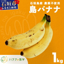 【ふるさと納税】バナナの医学 石垣島産 島バナナ 約1kg 農薬不使用 | バナナ 石垣 沖縄 1kg 無農薬 DF-001