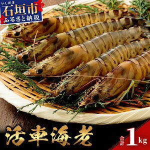 �y�ӂ邳�Ɣ[�Łz���G�ߌ��聄 ���Ԃ��� 500g (25���O��) / 1kg (50���O��) | �Ԃ��� �ԊC�V �N���}�G�r �C�V �G�r �C�N ���Y �ӂ邳�� ���ꌧ ���� �Ί_ �Ί_�� �Ί_�s �l�C