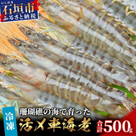 【ふるさと納税】車えび 500g 冷凍 25尾 ～ 33尾 Sサイズ 真空パック | ふるさと納税 車えび 車海老 クルマエビ 海老 エビ 海鮮 国産 ふるさと 沖縄県 沖縄 石垣 石垣島 石垣市 人気 送料無料 BE-5