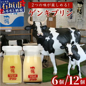 【ふるさと納税】【島外不出のゲンキくん製品が返礼品に!!】【内容量が選べる】ゲンキプリン 6〜12個 八重山ゲンキ乳業 お土産 ゲンキくん 石垣島 牛乳屋 プリン OP-1 OP-2 沖縄県 石垣市 送料無料【大人気の「ゲンキくん保冷バッグ」もお届け】