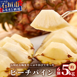 yӂ邳Ɣ[Łzs\񁄐Ί_pC s[` 3`6Zbgy2026N5{甭zpCibv s[`pC pC s[` ʕ  t[c ʎ Y ꌧ  Ί_ 