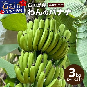 �ԗ�i�摜