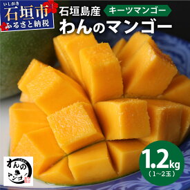 【ふるさと納税】＜わんのマンゴー＞石垣島産マンゴー【キーツ】 約 1.2kg 前後（1〜2玉） NA-05