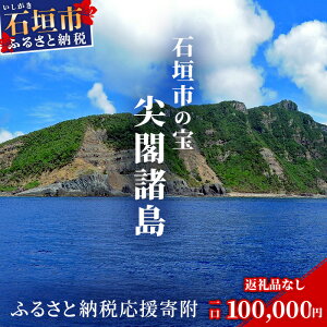 【ふるさと納税】返礼品なし 石垣市の宝 尖閣諸島 資料収集及び情報発信等事業 の為の寄附 寄附額 100,000円 | ふるさと納税 沖縄県 沖縄 石垣 石垣島 石垣市 ふるさと