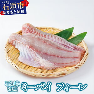 【ふるさと納税】【選べる容量】石垣島特産品ミーバイ 刺し身 ハーフフィーレ フィーレ 丸ごと1本 | ふるさと納税 沖縄県石垣市 石垣 沖縄 石垣市 石垣島 ふるさと 人気 送料無料 KS-13 KS-14 KS
