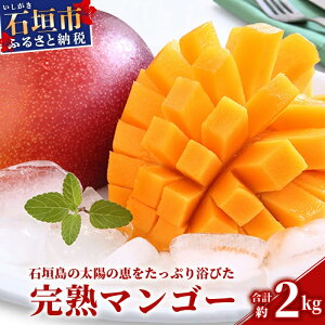 yӂ邳Ɣ[Łz1kg`2kg Ƃ낯銮n}S[ Ί_Y [eʂIׂ] | ӂ邳Ɣ[ }S[ Abv}S[ ӂ邳Ɣ[ t[c ʕ ʎ Y Mtg p ꌧ Ί_