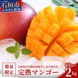 【ふるさと納税】とろける完熟マンゴー 約1kg〜約2kg 石垣島産 ＜内容量を選べる＞ | マンゴー アップルマンゴー ふるさと納税 フルーツ 果物 果実 国産 ギフト 贈答用 沖縄県 石垣市 石垣島 人気 送料無料【2026年6月頃より順次発送】
