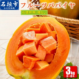 【ふるさと納税】石垣島 フルーツ パパイヤ 石垣珊瑚 赤果肉 種なし 3kg (3～8玉) / 4kg (4~8玉) | パパイヤ フルーツパパイヤ 果物 くだもの フルーツ 果実 国産 沖縄県 沖縄 石垣 石垣島 石垣市 ふるさと 人気 送料無料 ふるさと納税