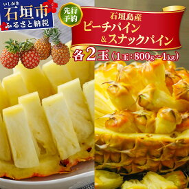 【ふるさと納税】＜先行予約＞ ピーチパイン スナックパイン 各2玉セット ＜2026年4月発送＞ | 沖縄県 石垣市 石垣島産 パイン パイナップル ZH-024