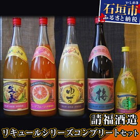 【ふるさと納税】請福酒造フルーツリキュールセット 計7920ml（1800ml×4本＋720ml×1本） 梅酒 ゆず レモン グレープフルーツ シークワーサー 果汁リキュール 酒類 酒 アルコール 贈答用 プレゼント 沖縄県石垣市 送料無料 AK-16