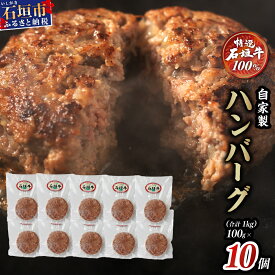 【ふるさと納税】 高級 黒毛和牛 石垣牛 100% 自家製 ハンバーグ 100g × 10個 1kg | ふるさと納税 ハンバーグ 和牛 黒毛和牛 石垣牛 無添加 国産 牛肉 ブランド牛 冷凍 個包装 ふるさと 沖縄県 沖縄 石垣 石垣島 石垣市 人気 送料無料 I-9