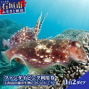 yӂ邳Ɣ[ŁzΊ_ }^E~Kɉ 1t@_CrOp tz 70,000~ 12_Cu CJ[h擾Ҍ | ӂ邳Ɣ[ p _CrO ӂ邳 s ό ̌ `