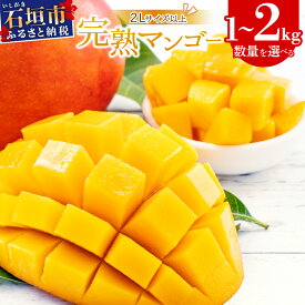 【ふるさと納税】とろける甘さ 石垣島マンゴー 2〜6玉 | 選べる数量 2〜3玉（約1kg）/ 3〜6玉（約2kg） 2L〜3L マンゴー 産地直送 旬 フルーツ 新鮮 完熟 マンゴー 石垣 沖縄 【2026年6月末から順次発送】