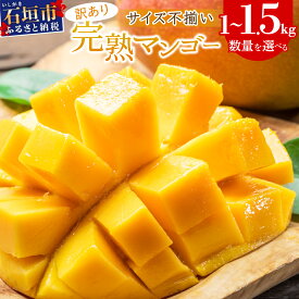 【ふるさと納税】【訳あり】選べる数量 マンゴー サイズ不揃い 2〜3玉 (約1kg) / 3〜5玉(約1.5kg) 【2026年7月上旬から順次発送】 | 訳あり品 マンゴー 訳アリ フルーツ 規格外 傷 色むら 沖縄県 石垣市 KP-26 KP-27