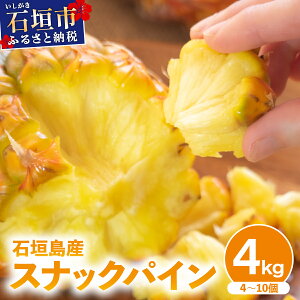 yӂ邳Ɣ[Łzy󂠂z Ί_Y pCibv 4kg 3~10E8kg 6~20s2026N4{甭t| ӂ邳Ɣ[ pCibv pC t[c ʕ ʎ 썑t[c 󂠂 ꌧ 