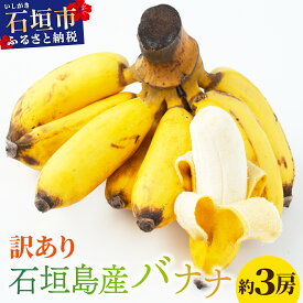 【ふるさと納税】＜訳あり＞ 大満足！石垣島産バナナ3房 ＜2026年6〜10月発送＞ | ふるさと納税 バナナ 訳あり フルーツ 果物 果実 南国フルーツ 沖縄県石垣市 沖縄県 石垣市 石垣島 産地直送 ふるさと 人気 送料無料 コッパリ