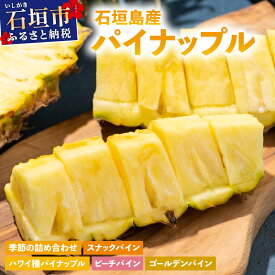 【ふるさと納税】【訳あり】 石垣島産 パイナップル 約4kg 3~10個・約8kg 6~20個《2026年4月中旬から発送》| ふるさと納税 パイナップル パイン フルーツ 果物 果実 南国フルーツ 訳あり 沖縄県 石垣市 石垣島 産地直送 ふるさと 人気 送料無料
