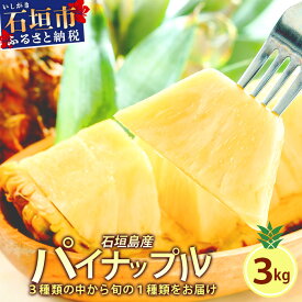 【ふるさと納税】石垣島産 パイナップル 約3kg 2～6個 《2025年5月から順次発送いたします》 | ふるさと納税 パイナップル パイン フルーツ 果物 果実 南国フルーツ 沖縄県石垣市 沖縄県 石垣市 石垣島 産地直送 ふるさと 人気 送料無料 KP-14