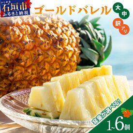 【ふるさと納税】＜先行予約＞ 石垣島産・ゴールドバレルパイン ＜2026年7月以降発送＞【通常・訳あり】【選べるサイズ】 パイン 果物 パイナップル 常温 期間限定 沖縄県 石垣市 送料無料