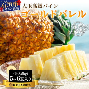 yӂ邳Ɣ[Łzs\ Ί_YES[hopC 2026N7ȍ~yʏE󂠂zyIׂTCYz pC ʕ pCibv 퉷 Ԍ ꌧ Ί_s 