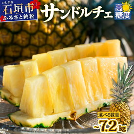【ふるさと納税】＜先行予約＞石垣島産 サンドルチェ 〜7.2kg 【通常・訳あり】＜2026年7月中旬以降発送＞ パイン 期間限定 送料無料 パイナップル 沖縄県 石垣市