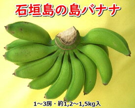 【ふるさと納税】石垣島の島バナナ、1～3房（約1,2～1,5kg前後入り） 爽やか酸味のスッキリ系バナナ、少し冷やしてもイイんです！　SI-33