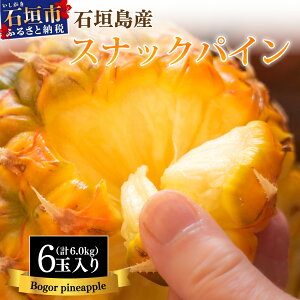 yӂ邳Ɣ[Łzs\񁄐Ί_Y XibNpC ({S[) yʏE󂠂z2026N5ȍ~ ꌧ Ί_s  pC ʕ Ԍ